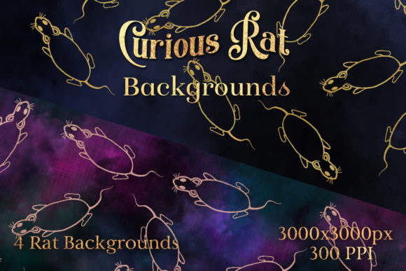 Curious Rat Backgrounds – 4 Image Set